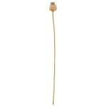 Κλαδί Σενέκιο ArteLibre Τεχνητό Καφέ 55cm