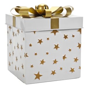 Χριστουγεννιάτικο Κουτί Δώρου Λευκό 26cm