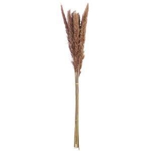 Δέσμη Πάμπας Γρασίδι Συνθετικό Καφέ 70cm