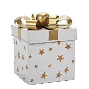 Χριστουγεννιάτικο Κουτί Δώρου Λευκό 20cm