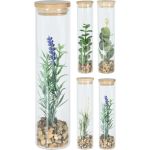 Φυτό Τεχνητό ArteLibre Σε Γυάλινο Δοχείο Με Μπαμπού Καπάκι Σε 4 Συνδυασμούς