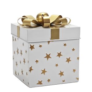 Χριστουγεννιάτικο Κουτί Δώρου Λευκό 23cm