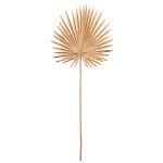 Κλαδί Φοίνικας ArteLibre Τεχνητό Εκρού 36x91cm