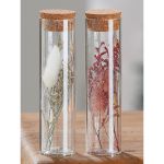 Διακοσμητικό ArteLibre Αποξηραμένο Λουλούδι Σε Δοχείο Με Glitter Διάφανο Γυαλί 15.5cm Σε 2 Σχέδια