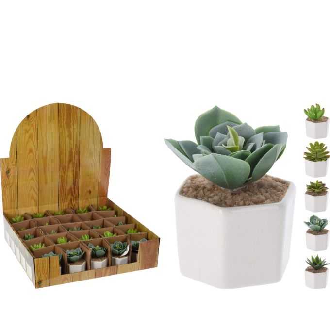 Φυτό Τεχνητό ArteLibre Σε Κεραμικό Γλάστρακι Λευκό PP/Foam Σε 5 Συνδυασμούς