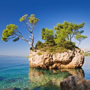 Καρέκλα Rachele pakoworld ανοιχτό γκρι ύφασμα-πόδι μαύρο μέταλλο 52x53x83εκ