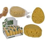 Σφουγγάρι Μπάνιου Πλαστικό 15x11cm