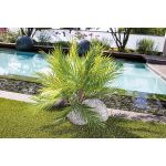 Μπουκέτο Φοίνικας ArteLibre Τεχνητό Πράσινο 65cm