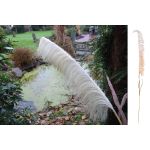 Κλαδί Γρασίδι ArteLibre Τεχνητό Εκρού 120cm