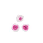 Λάμπα Camping Υγραερίου 190g